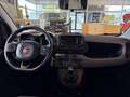 Fiat Panda Base 1.0 Mild Hybrid DAB Klima BT teilb.Rücksb eFH Grau - thumbnail 11