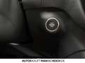 Volvo XC40 B4 Plus Dark ACC BLIS H/K 360° PANO Leder Grün - thumbnail 23