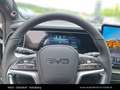 BYD Sealion 7 Excellence AWD Grau - thumbnail 20