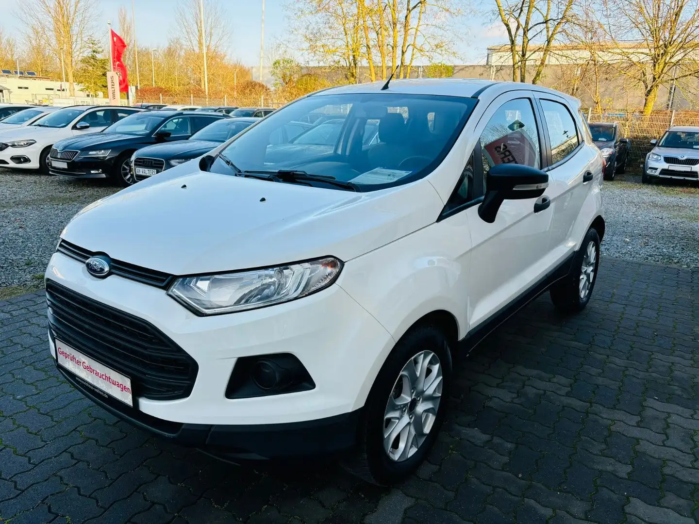 Ford EcoSport = Automatik - M&S Reifen - org. Km Blanco - 1