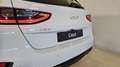 Kia Sonstige 1.0 MHEV 74kW (100CV) Drive DCT Weiß - thumbnail 5
