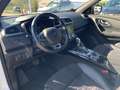 Renault Kadjar BLACK EDITION TCe 160 EDC GPF Black Edition SHZ+KA Blanc - thumbnail 11