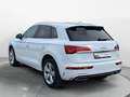 Audi Q5 40 TDI q. S-Tronic S-Line 2x, LED, HUD, ACC, Weiß - thumbnail 6