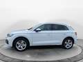 Audi Q5 40 TDI q. S-Tronic S-Line 2x, LED, HUD, ACC, Weiß - thumbnail 5