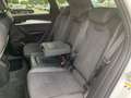 Audi Q5 40 TDI q. S-Tronic S-Line 2x, LED, HUD, ACC, Weiß - thumbnail 11