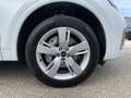 Audi Q5 40 TDI q. S-Tronic S-Line 2x, LED, HUD, ACC, Weiß - thumbnail 17