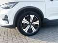 Volvo XC40 Recharge Single Motor Plus 19'' Allwetter ACC Lenk Weiß - thumbnail 9