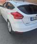 Ford Focus 5p 1.5 tdci Titanium s&s 120cv - thumbnail 4