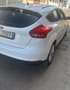 Ford Focus 5p 1.5 tdci Titanium s&s 120cv - thumbnail 3