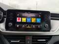 Skoda Kamiq 1.0 TSI Rückfahrkam,Fernlichtassist,LED Azul - thumbnail 13