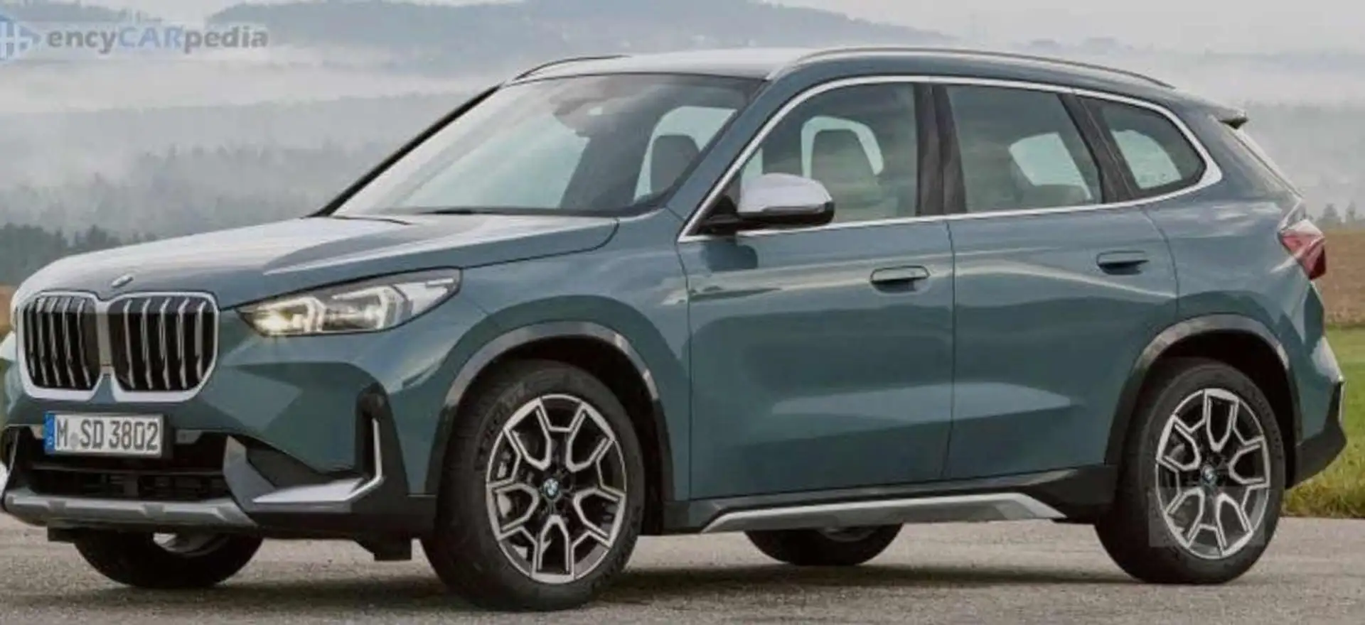 BMW X1 xDrive 20d xLine Gris - 1