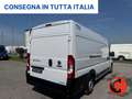 Fiat Ducato 2.3 MJT 160CV FRIGO L4H2 FRCX-20 ATP  STRADA RETE- Blanc - thumbnail 7