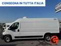 Fiat Ducato 2.3 MJT 160CV FRIGO L4H2 FRCX-20 ATP  STRADA RETE- Blanc - thumbnail 3