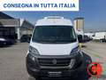 Fiat Ducato 2.3 MJT 160CV FRIGO L4H2 FRCX-20 ATP  STRADA RETE- Blanc - thumbnail 8