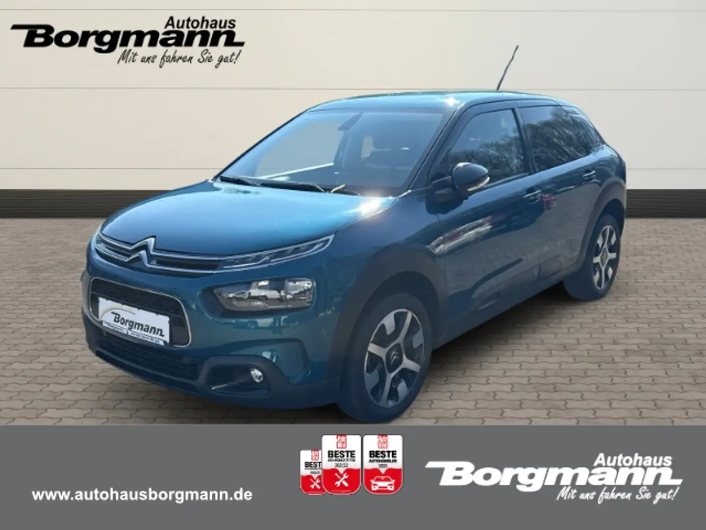 Citroen C4 Cactus Shine 1.2 PureTech 130 EU6d-T Navi Klimaautom SHZ Grün - 1