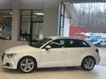 Audi A3 A3 Sportback 2.0 tdi Sport S-tronic Weiß - thumbnail 3