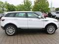 Land Rover Range Rover Evoque Pure Weiß - thumbnail 6