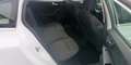 Ford Focus SW 1.5 EcoBlue 120cv Business s&s Bianco - thumbnail 10