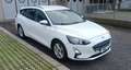 Ford Focus SW 1.5 EcoBlue 120cv Business s&s Bianco - thumbnail 1