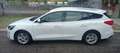 Ford Focus SW 1.5 EcoBlue 120cv Business s&s Bianco - thumbnail 4