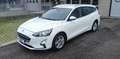 Ford Focus SW 1.5 EcoBlue 120cv Business s&s Bianco - thumbnail 3