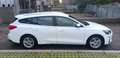 Ford Focus SW 1.5 EcoBlue 120cv Business s&s Bianco - thumbnail 8