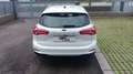 Ford Focus SW 1.5 EcoBlue 120cv Business s&s Bianco - thumbnail 6