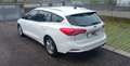Ford Focus SW 1.5 EcoBlue 120cv Business s&s Bianco - thumbnail 5