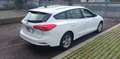 Ford Focus SW 1.5 EcoBlue 120cv Business s&s Bianco - thumbnail 7
