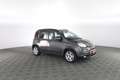 Fiat New Panda 1.0 FireFly Hybrid City Life Grigio - thumbnail 2