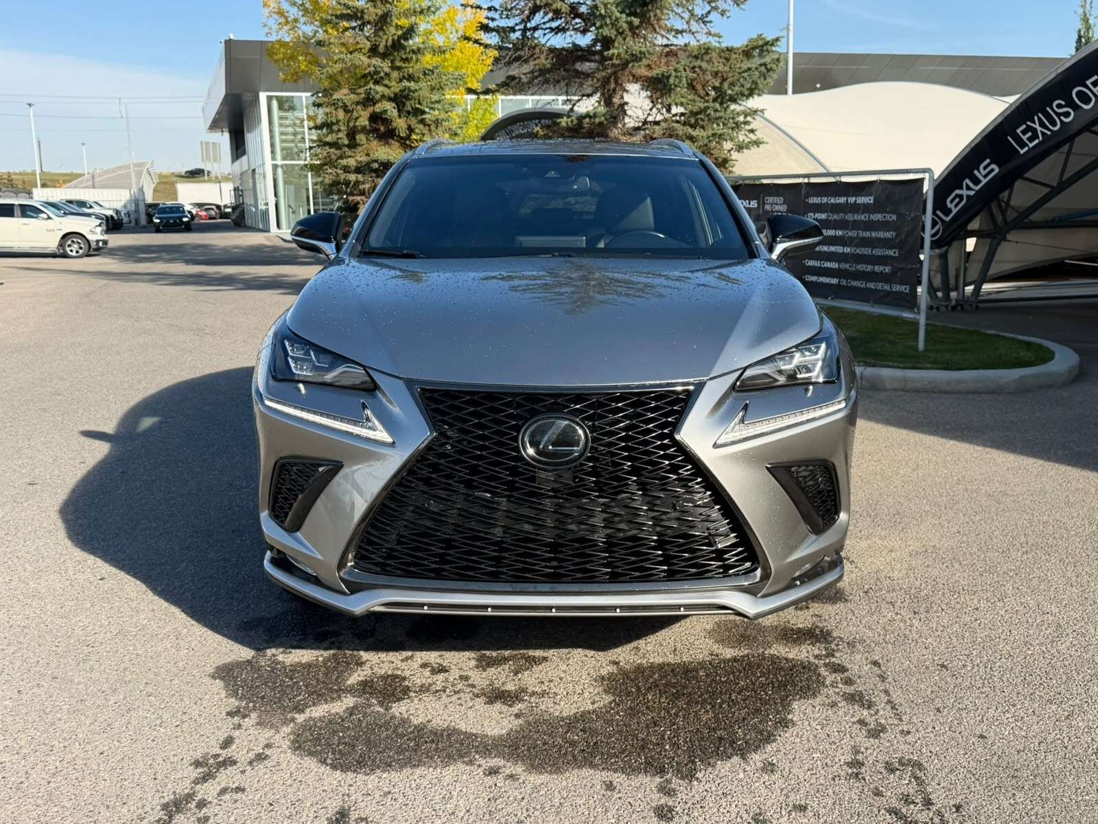 2018 Lexus NX — снимка 1