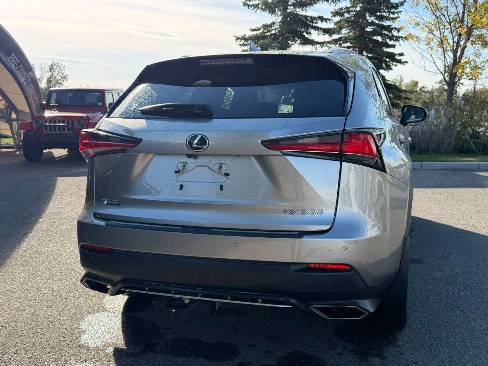 2018 Lexus NX — снимка 1