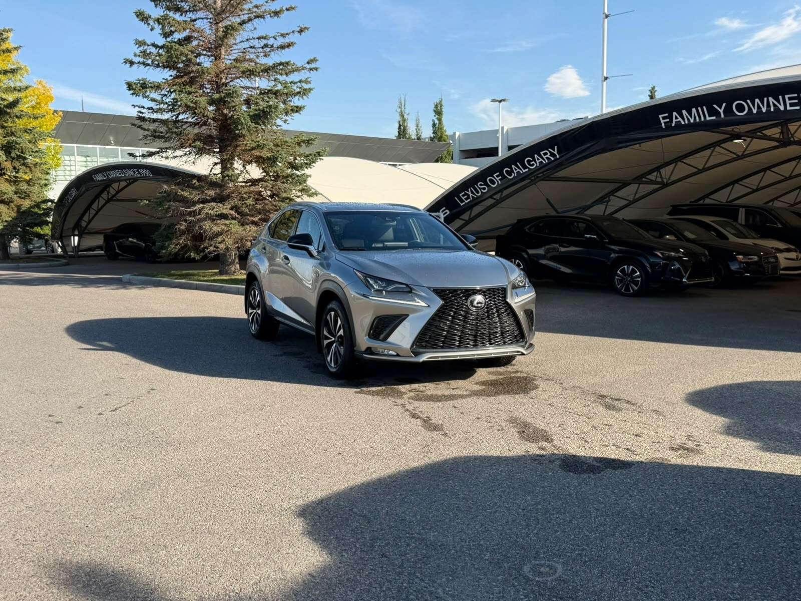 2018 Lexus NX