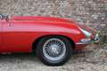 Jaguar E-Type 3.8 Series 1 Coupe SURVIVOR ! Very original exampl Rojo - thumbnail 24