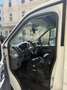 Ford Transit Connect Transit Connect L1 220 1,5 Ecoblue Trend Trend Weiß - thumbnail 5