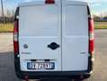 Fiat Doblo Weiß - thumbnail 4