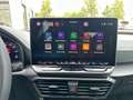 CUPRA Formentor VZ 2.0 TSI 245 kW (333 PS) 7-Gang DSG 4Drive Grau - thumbnail 13