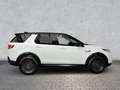 Land Rover Discovery Sport D150 FWD DAB, 5+2 Sitzer, Shz, ClearSight Weiß - thumbnail 6