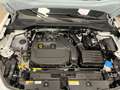 CUPRA Formentor 1.5 tsi dsg 150cv PARI AL NUOVO Risparmio 35% Blanc - thumbnail 14