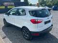 Ford EcoSport mehrere Modelle vorrätig-Garantie Weiß - thumbnail 5