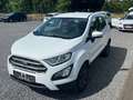 Ford EcoSport mehrere Modelle vorrätig-Garantie Weiß - thumbnail 6