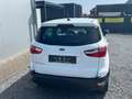 Ford EcoSport mehrere Modelle vorrätig-Garantie Weiß - thumbnail 4