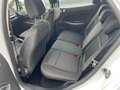 Ford EcoSport mehrere Modelle vorrätig-Garantie Weiß - thumbnail 8