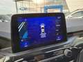Ford Kuga St-Line Winterpack Rot - thumbnail 7