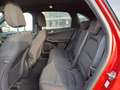 Ford Kuga St-Line Winterpack Rot - thumbnail 3