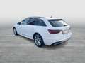 Audi A4 30 TDI advanced Weiß - thumbnail 4