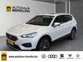 SEAT Tarraco 1.4 e-Hybrid Xperience DSG *PANO*ACC* Wit - thumbnail 1