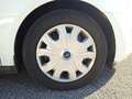 Ford Transit Frigo-20 Connect 1.5 TDCI 120cv Funz. Strada/Rete Weiß - thumbnail 22