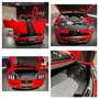 Ford Mustang Fastback 2.3 ecoboost 290cv auto SEDILI RACARO Rosso - thumbnail 13