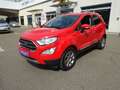 Ford EcoSport 1,5 TDCi Titanium Rot - thumbnail 4